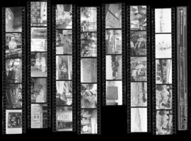 2019-204-Contact Sheet_003