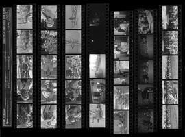 2019-204-Contact Sheet_001