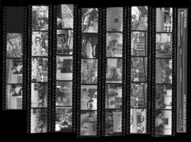 2019-204-Contact Sheet_007