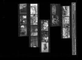 2019-204-Contact Sheet_010